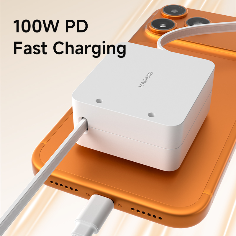 ハギビス格納式USB Cケーブル 100W Type C t - Desk Setup Mac のレビューと価格